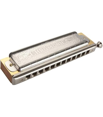 管楽器・吹奏楽器 Hohner Double Puck Harmonica Hohner Harmonica Double Puck C/G M55333 : Amazon.in: Musical